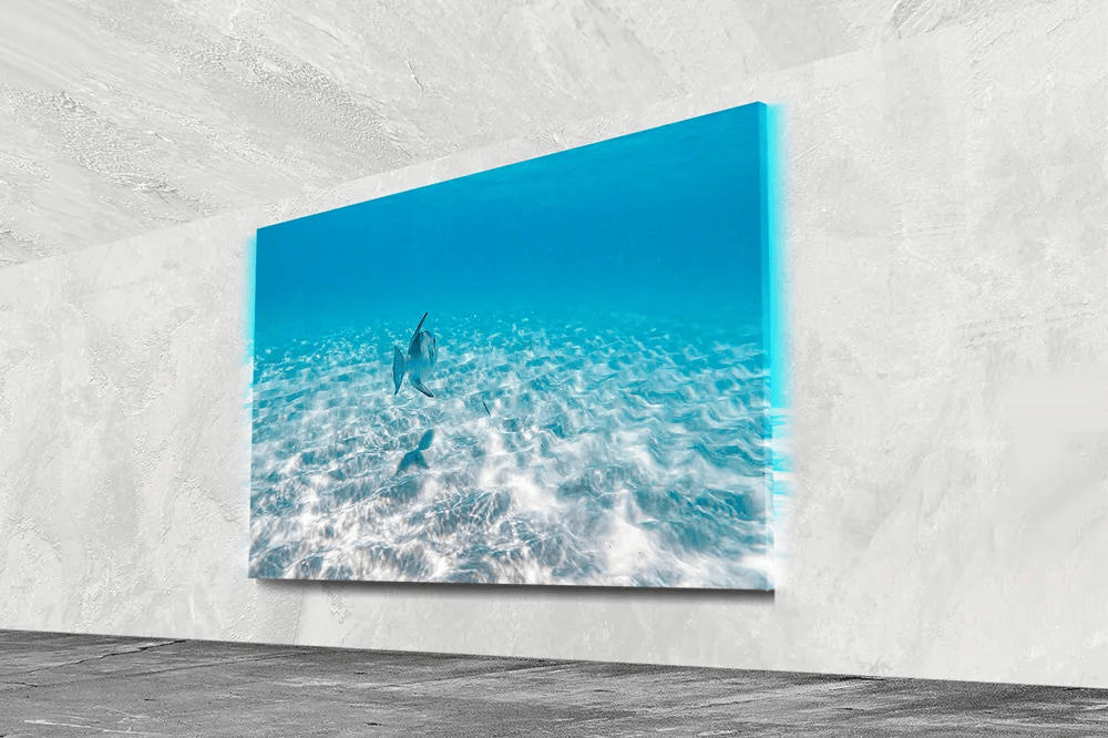 026：画质逼近极限中日韩厂商重排座次冰球突破爆百万大奖电视大厂狂卷CES2(图7)